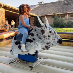 Mechanical Bull