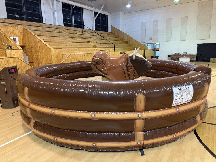 Mechanical Bull